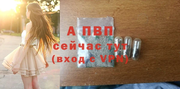 МДПВ Горняк