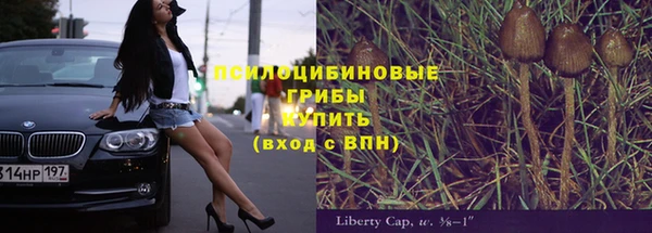 прущая мука Горно-Алтайск