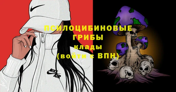 apvp Горнозаводск