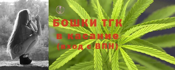 apvp Горнозаводск