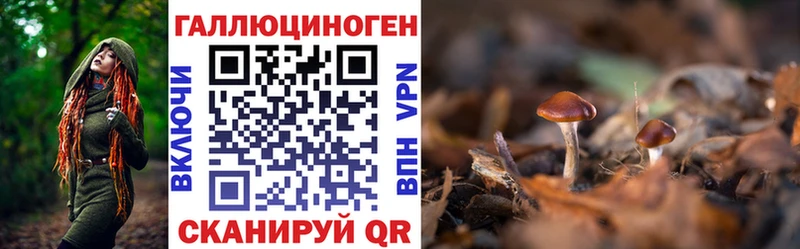 Галлюциногенные грибы GOLDEN TEACHER Щёкино