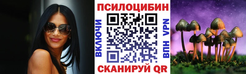 Псилоцибиновые грибы Psilocybe  kraken зеркало  Щёкино  сколько стоит 
